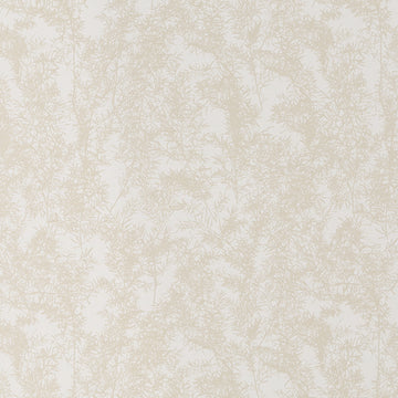 WOLONG GARDEN | OYSTER