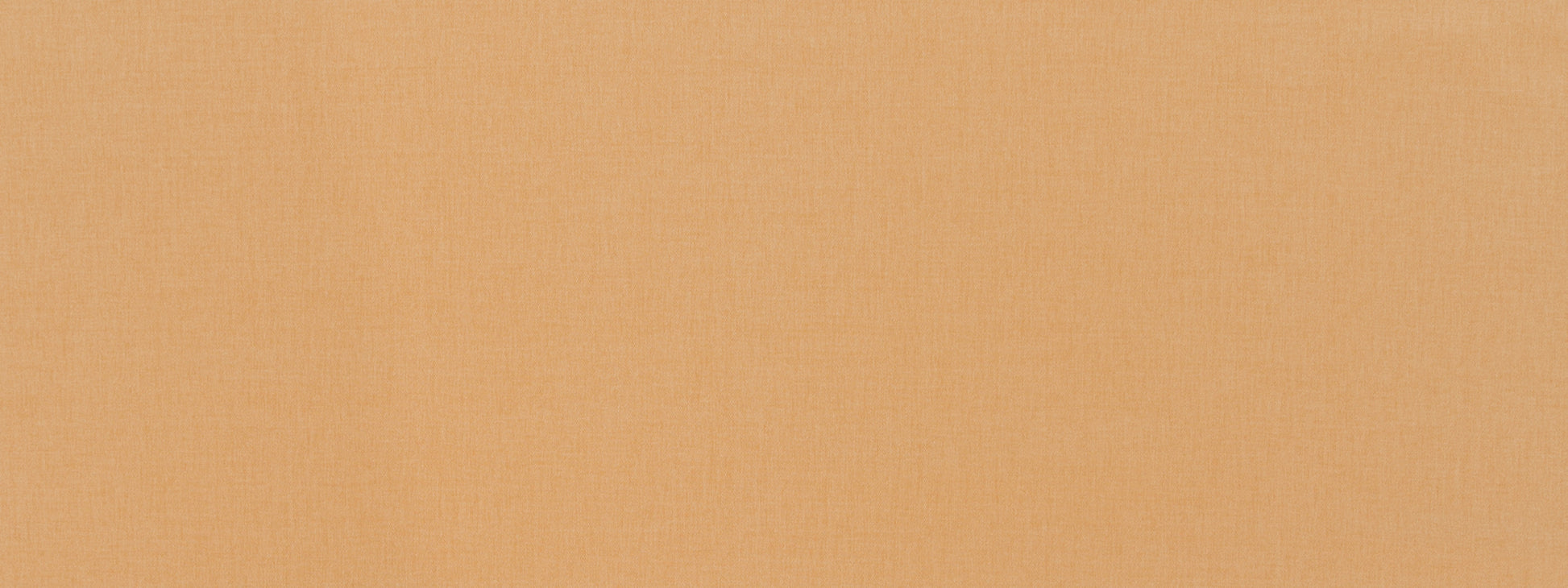 Basic Scene | Butternut