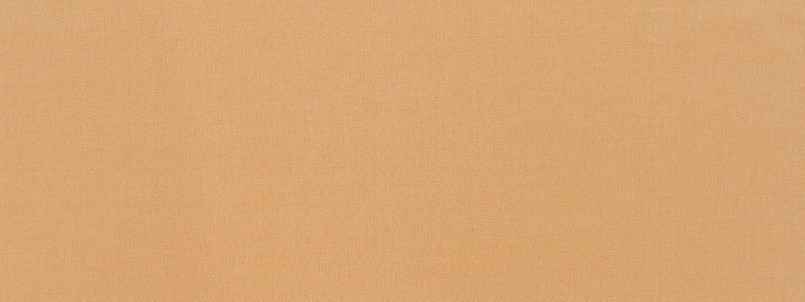 Basic Scene | Butternut