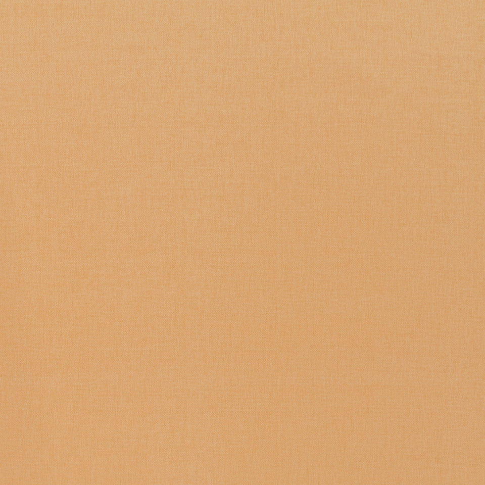 Basic Scene | Butternut