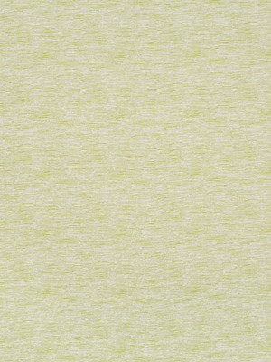 CREST BOUCLE | LIME