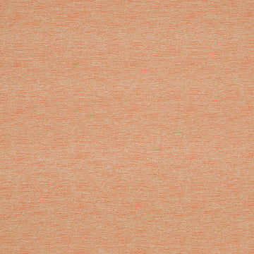 CREST BOUCLE | PAPAYA