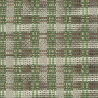 HU16250 | 343-CACTUS
