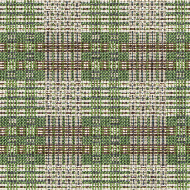 HU16250 | 343-CACTUS