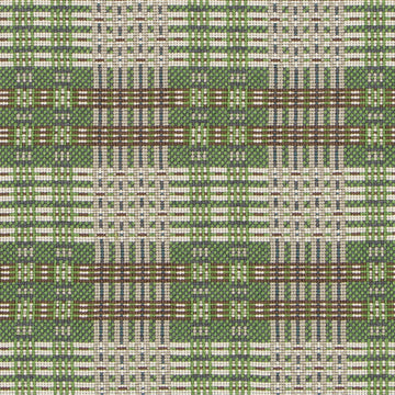 HU16250 | 343-CACTUS