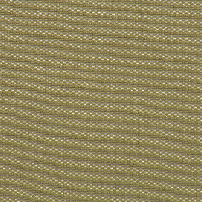 HU16244 | 343-CACTUS