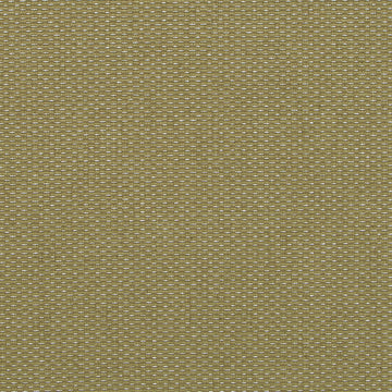 HU16244 | 343-CACTUS