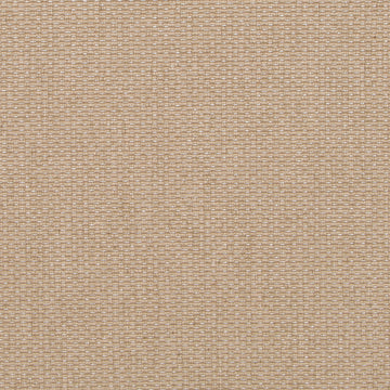 HU16244 | 519-RATTAN