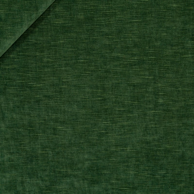 Hv16247 | 323-Evergreen