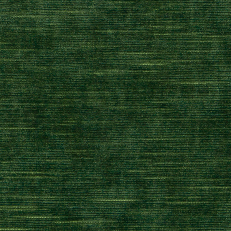 Hv16247 | 323-Evergreen