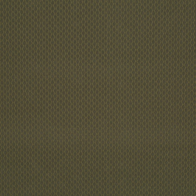 HU16237 | 343-CACTUS