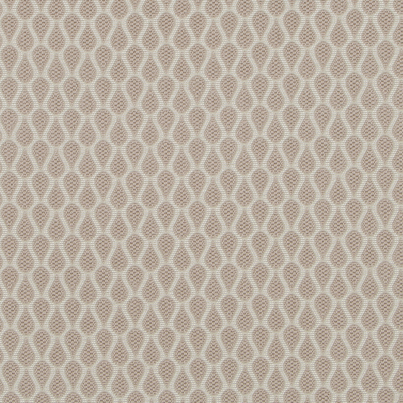 HU16237 | 587-LATTE