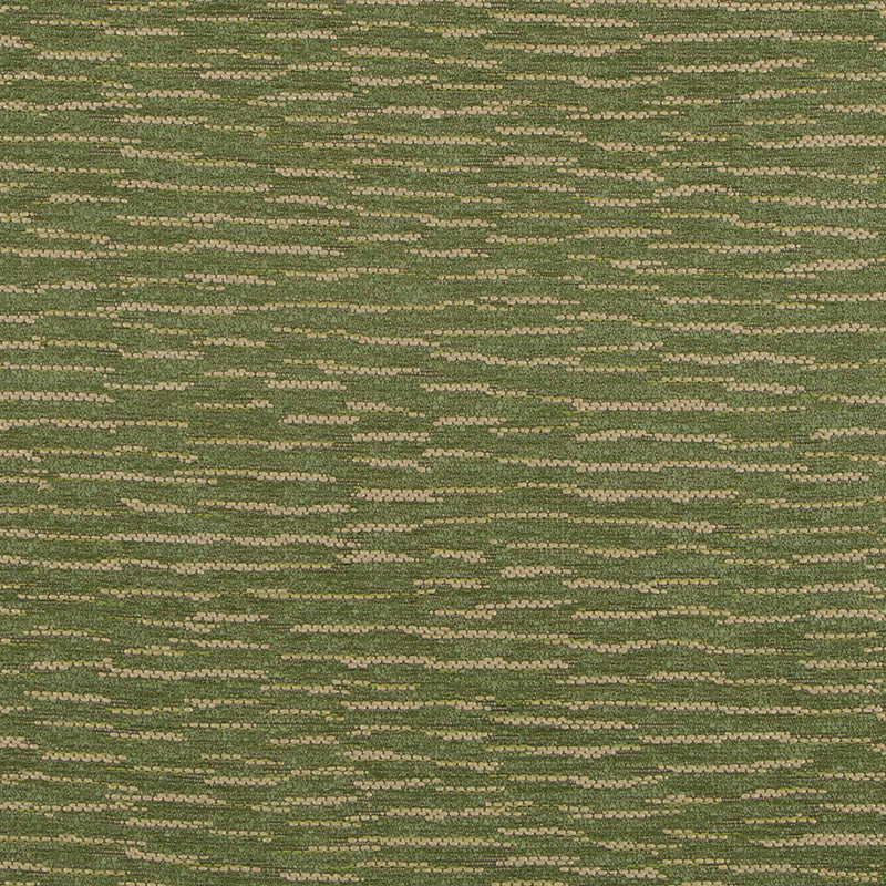 HU16245 | 303-FERN