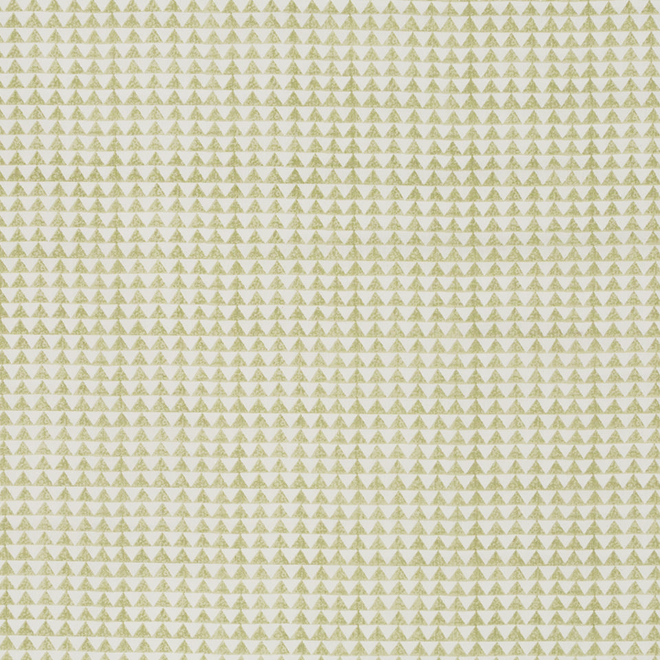 PYRAMID PRINT | LETTUCE