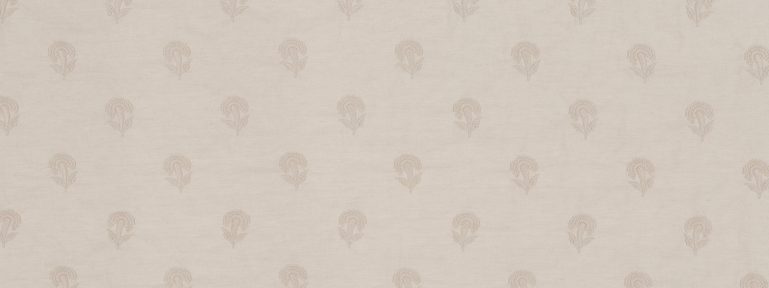 MAKE A WISH | OYSTER