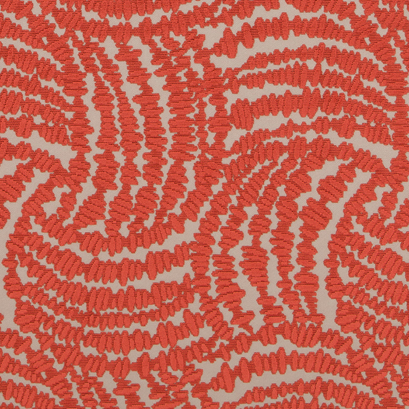 HV16239 | 451-PAPAYA