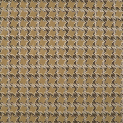 HV16240 | 494-SESAME