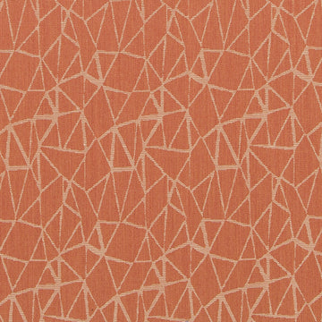 HI61737 | 231-APRICOT