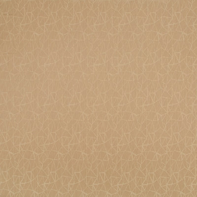HI61737 | 519-RATTAN