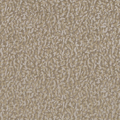 Hv16248 | 160-Mushroom