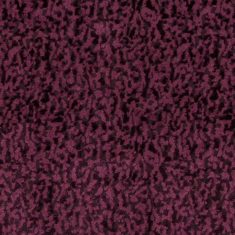 Hv16248 | 95-Plum
