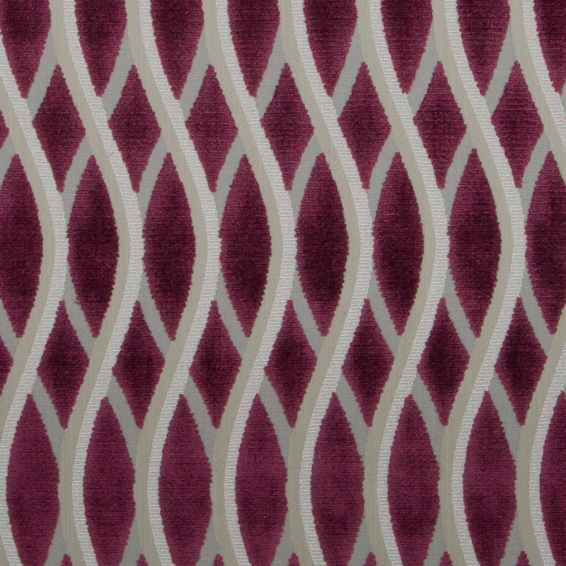 Hv16249 | 95-Plum