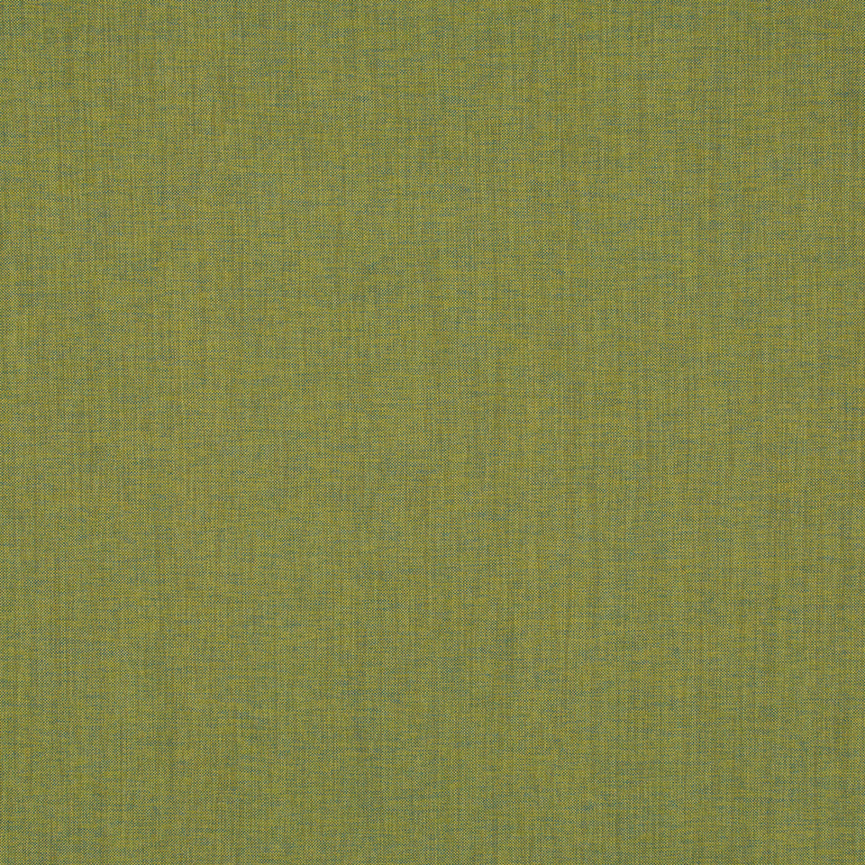 INTERCEPT | LIME