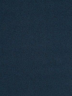 PLETHORA | MIDNIGHT