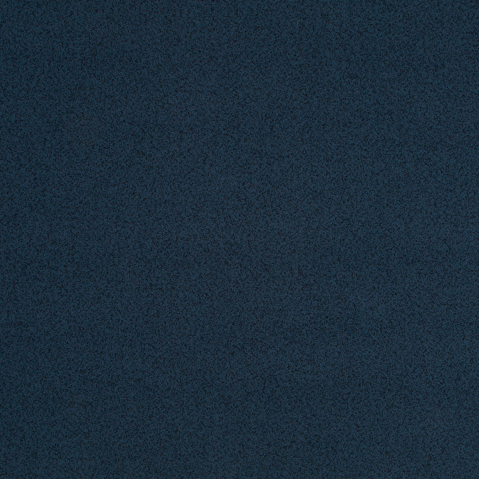 PLETHORA | MIDNIGHT