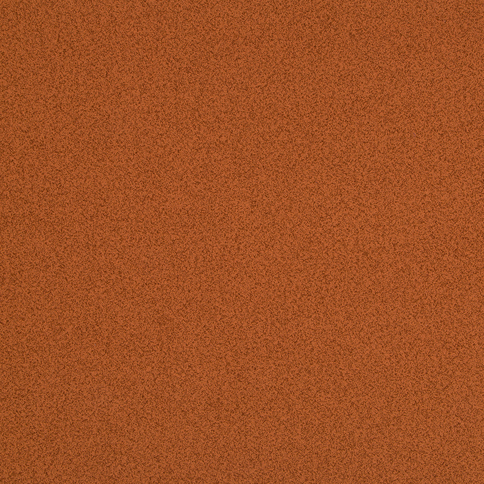 PLETHORA | CLAY