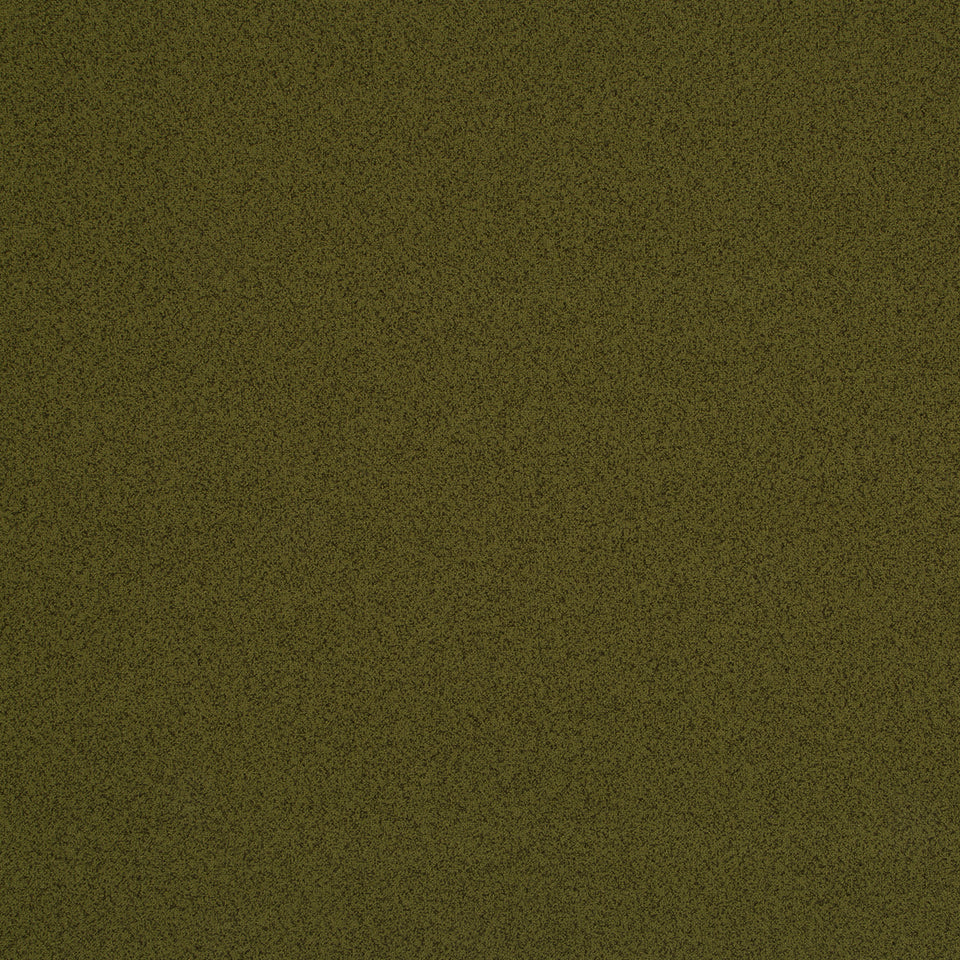 PLETHORA | OLIVE