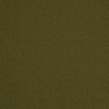 PLETHORA | OLIVE
