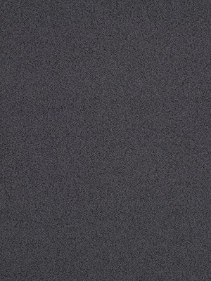 PLETHORA | CHARCOAL