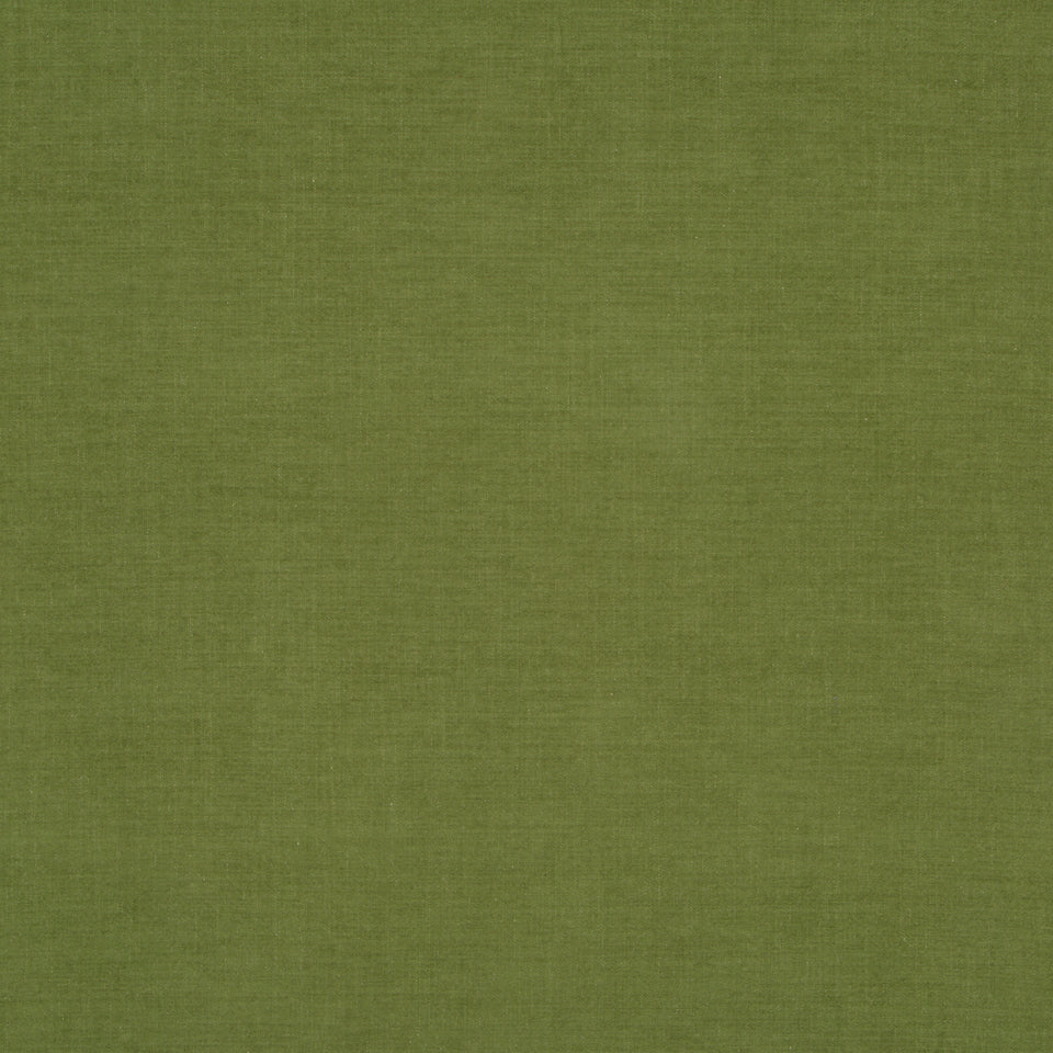 TIDY TEXTURE | LEAF