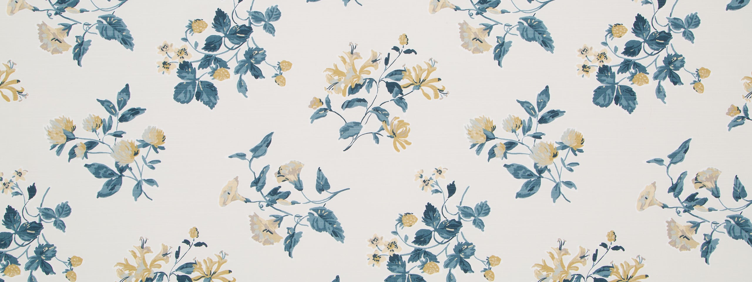 HALSEY COURT | COVE