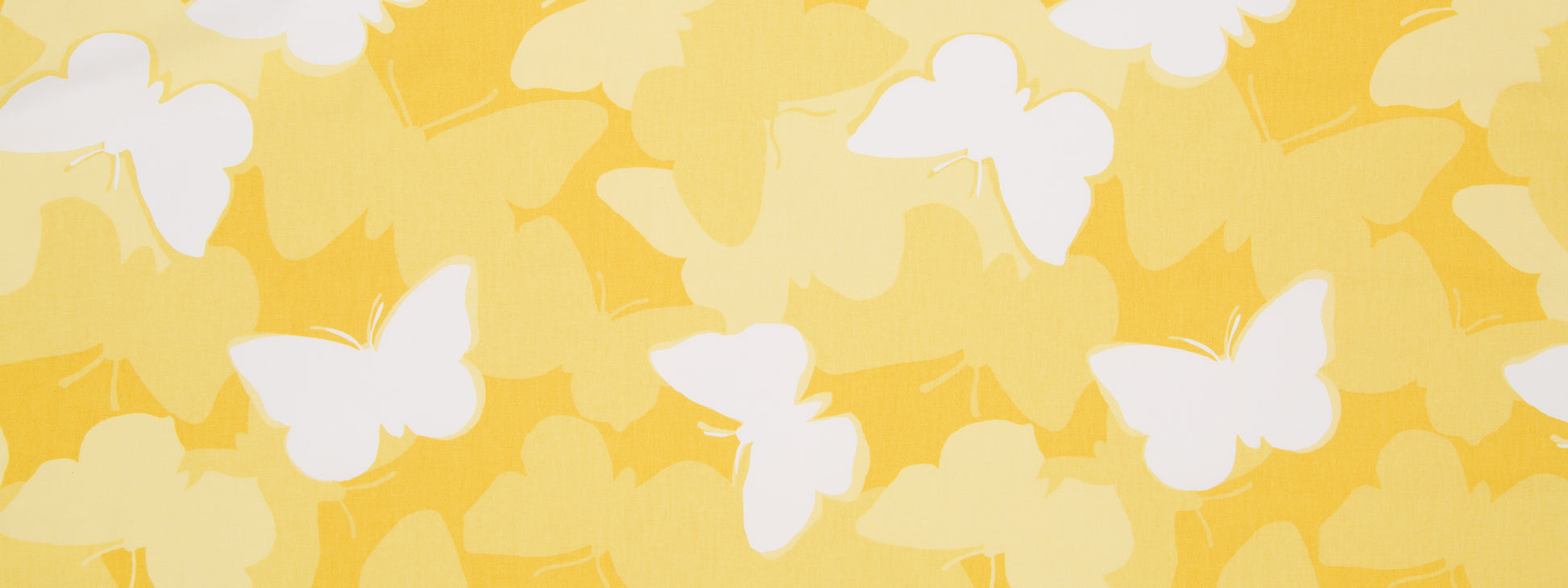 NOW VOYAGER | DAFFODIL