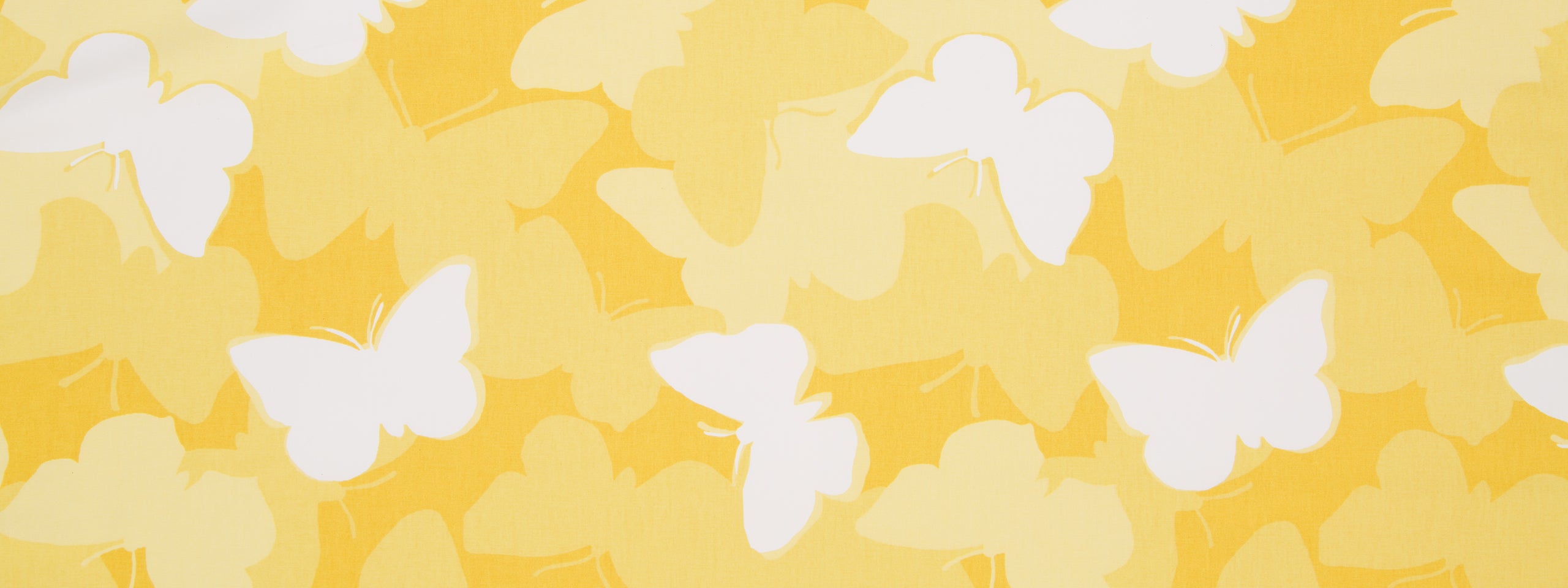 NOW VOYAGER | DAFFODIL