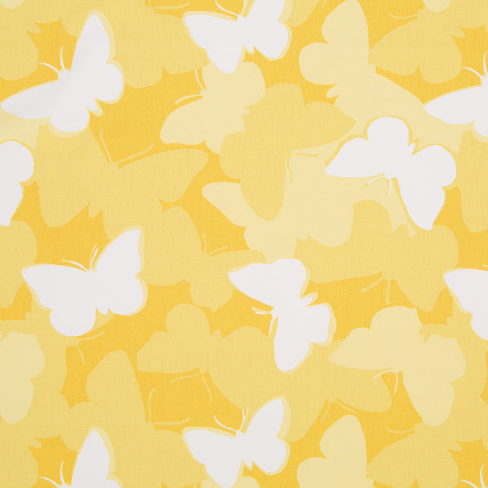 NOW VOYAGER | DAFFODIL