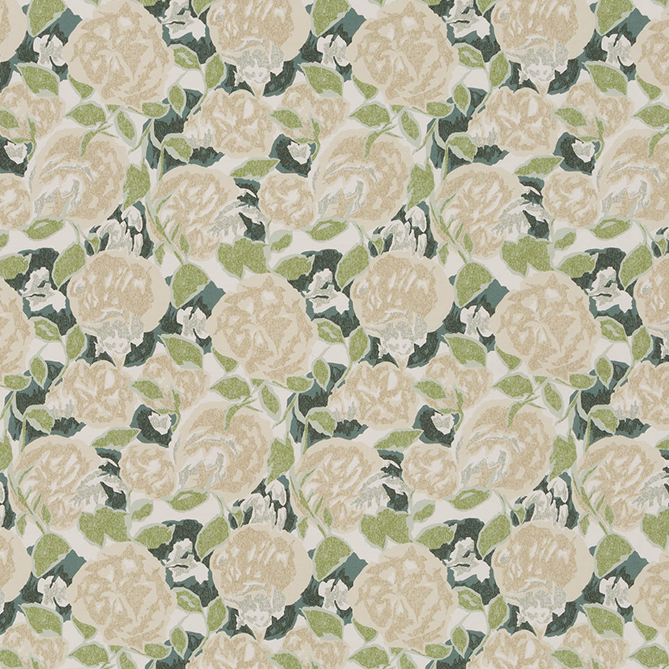 FAUVE GROVE | OYSTER