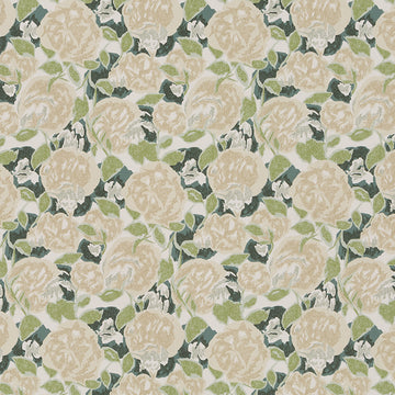 FAUVE GROVE | OYSTER