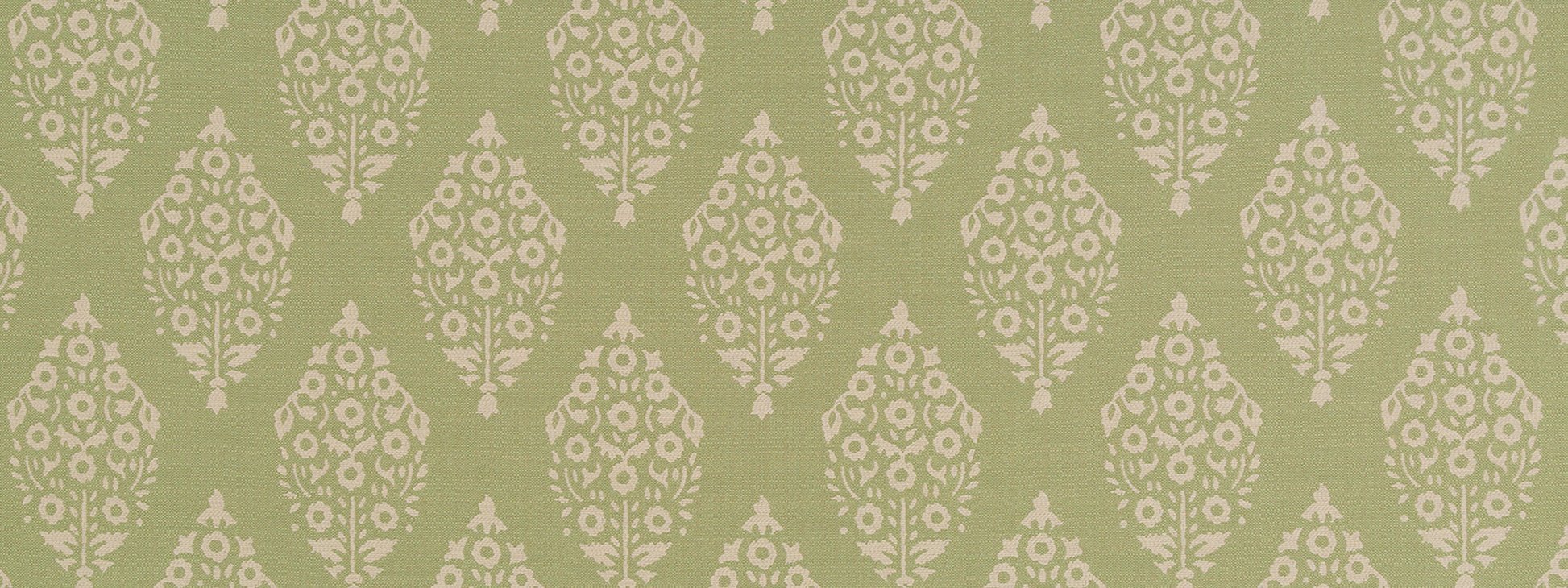 SWAN SONG | LETTUCE