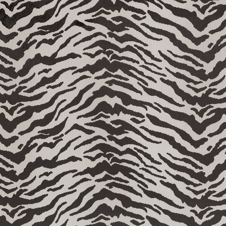 CHESHIRE | BLACK