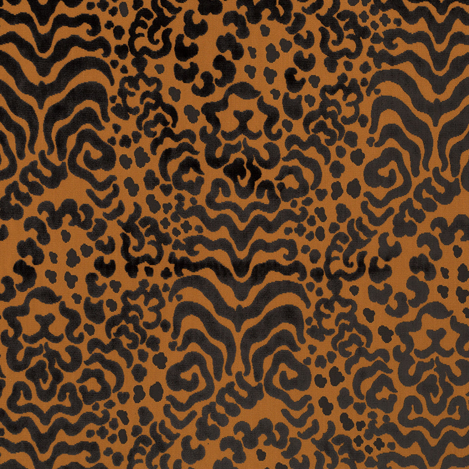 TIBETAN TIGER | ORANGE