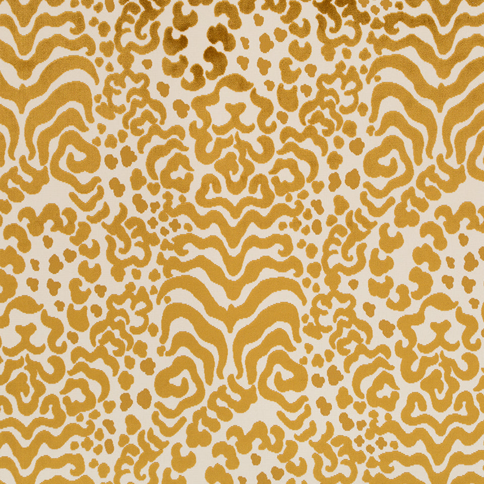 TIBETAN TIGER | OCHRE
