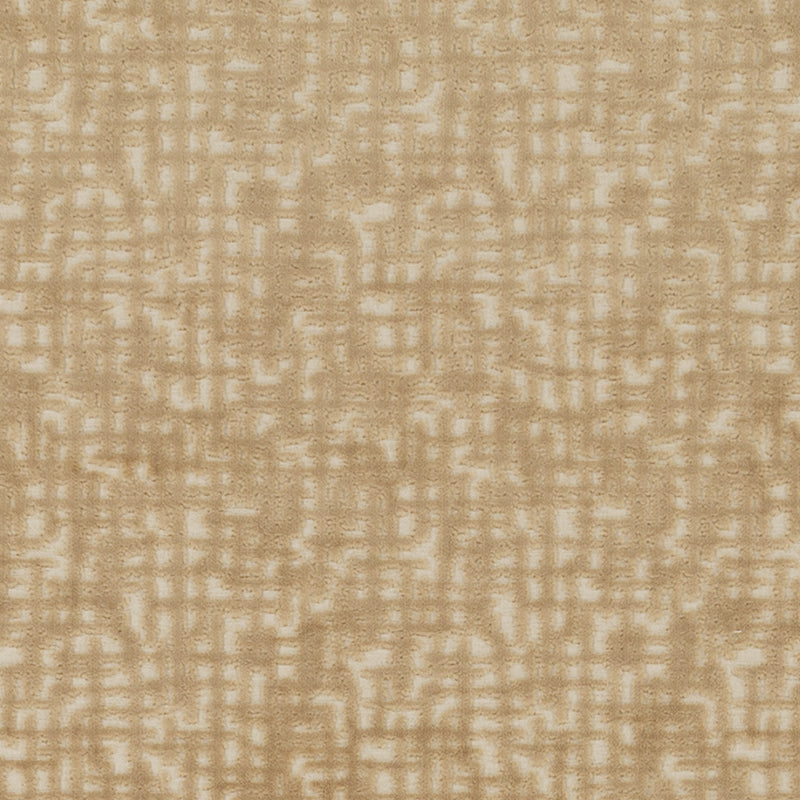 SV16319 | 152-WHEAT