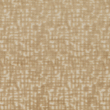 SV16319 | 152-WHEAT