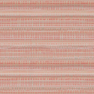 DN16339 | 124-BLUSH