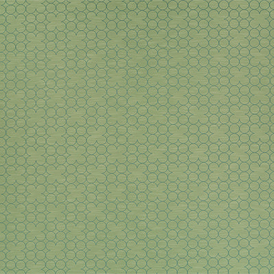 DN16340 | 399-PISTACHIO