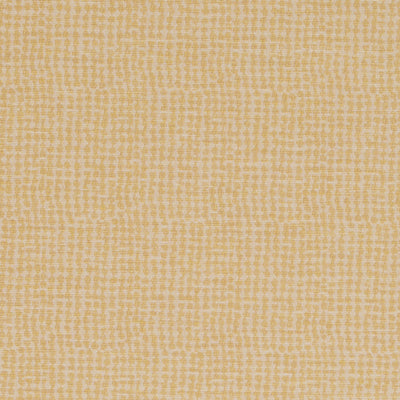 DN16336 | 610-BUTTERCUP