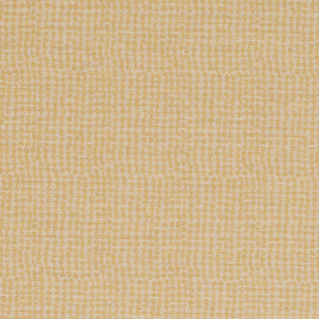 DN16336 | 610-BUTTERCUP